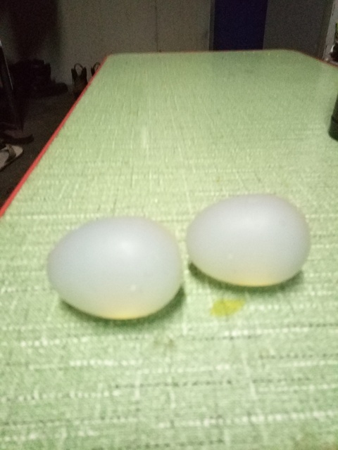古玩雜項琉璃拍賣,當前價格1222元