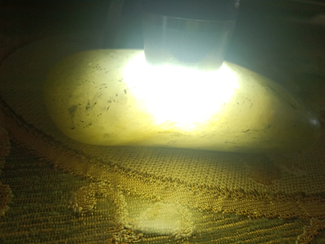 古玩玉器原石拍賣，當前價格1600元