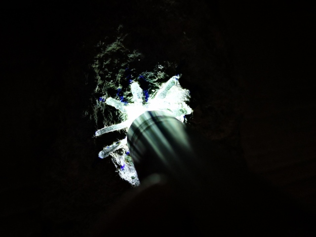 古玩玉器翡翠原石特價賣拍賣,當前價格1688元