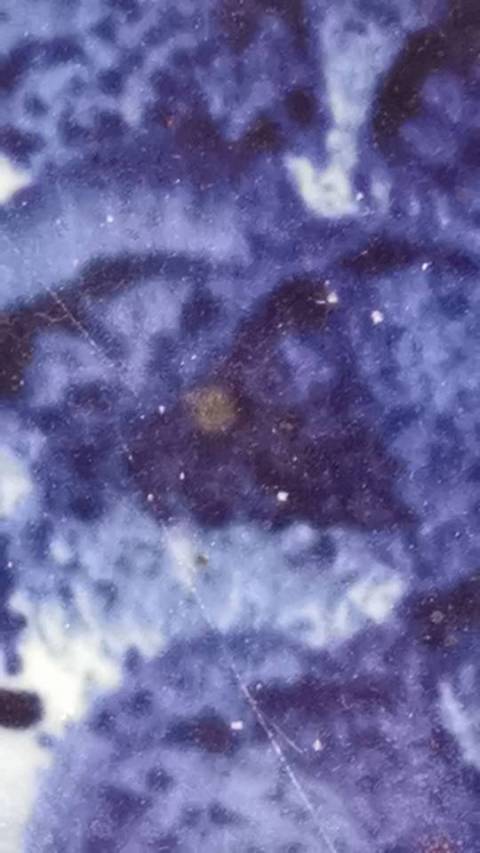 古玩陶瓷青花盤拍賣，當前價格15800元