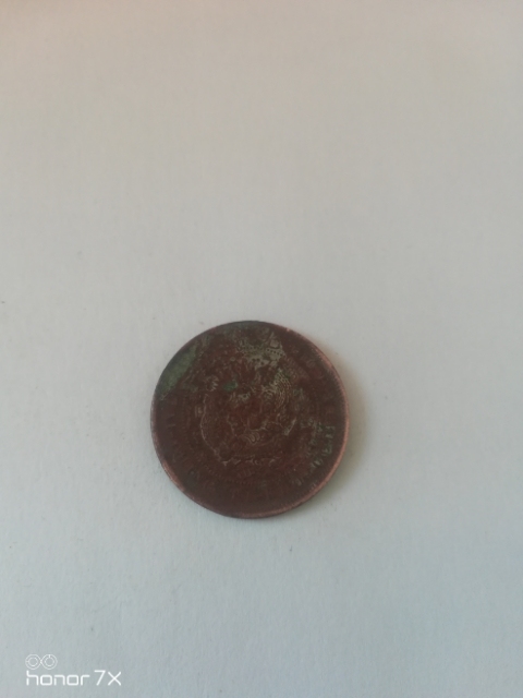 古玩錢幣銅元拍賣，當前價格2000元