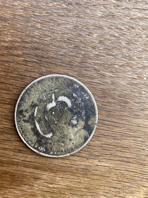 古玩錢幣江南銀幣拍賣，當(dāng)前價格6600元