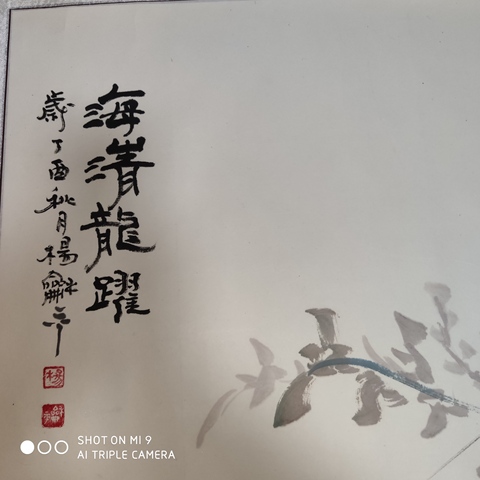 古玩字畫中美協會員楊和平老師《海清龍躍》卷軸拍賣，當前價格900元