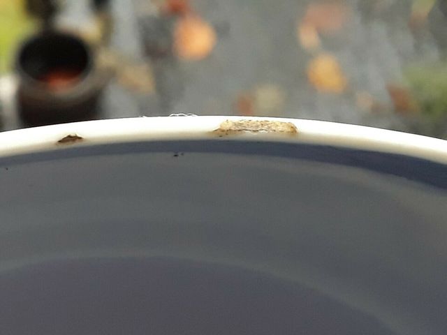 古玩陶瓷青花雙龍戲珠紋碗拍賣，當(dāng)前價(jià)格8100元