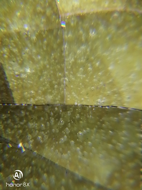 古玩陶瓷綠釉將軍罐拍賣，當(dāng)前價(jià)格5980元