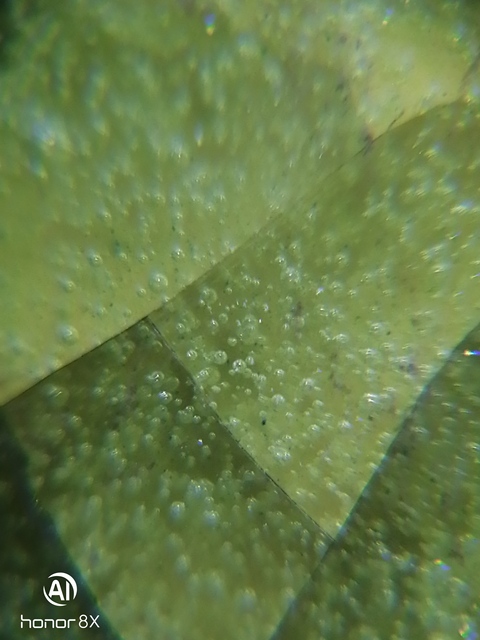 古玩陶瓷綠釉將軍罐拍賣，當(dāng)前價(jià)格5980元