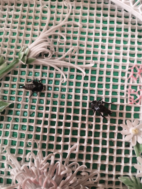 古玩陶瓷粉彩鏤雕貼塑盤拍賣，當前價格6000元