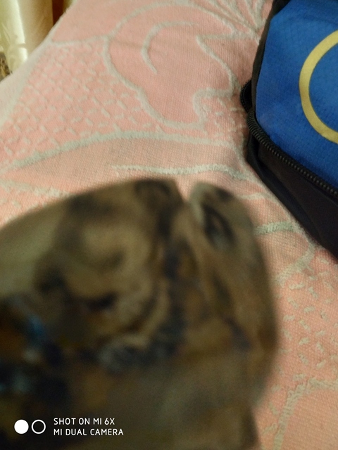 古玩陶瓷明代風格青花卷草紋碗拍賣，當前價格15800元