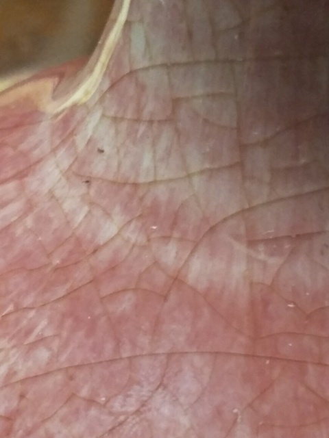 古玩陶瓷紅釉膽瓶拍賣，當前價格5000元