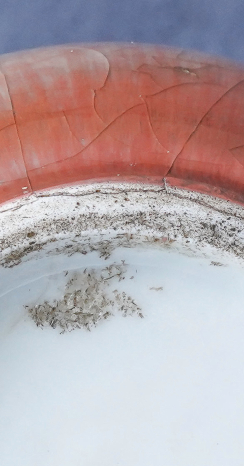 古玩陶瓷紅釉長頸瓶拍賣，當前價格4000元