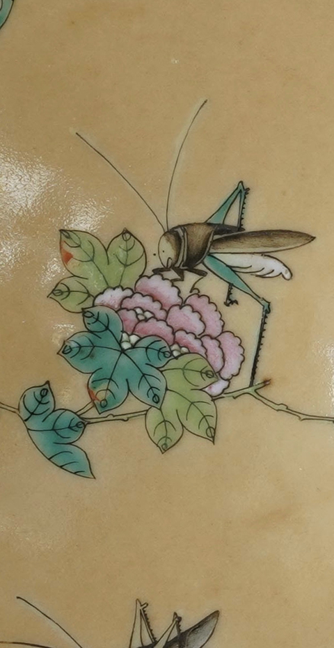 古玩陶瓷米黃釉粉彩蟲草紋盤一對拍賣，當前價格5800元