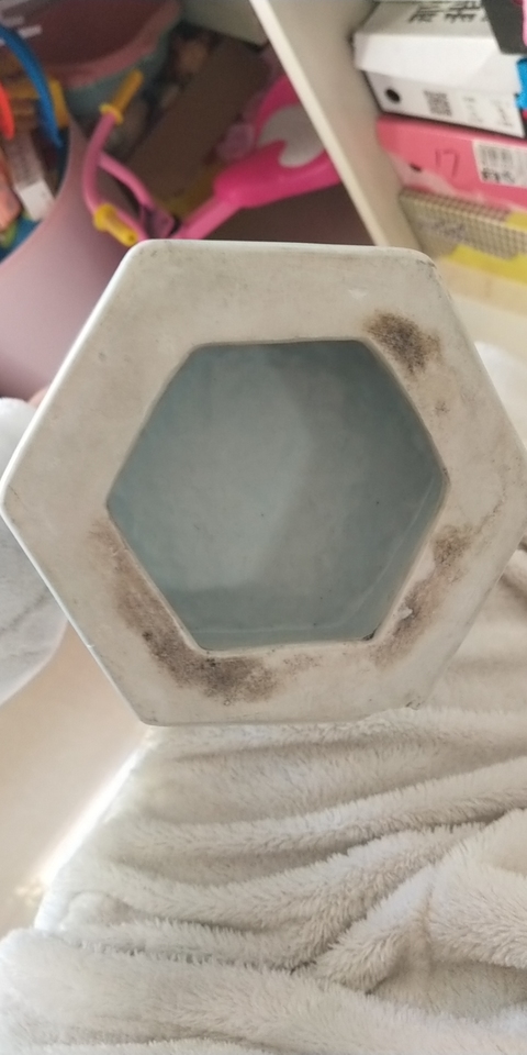 古玩陶瓷白釉獅耳瓶拍賣，當前價格11600元