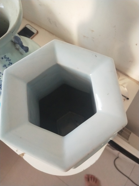 古玩陶瓷白釉獅耳瓶拍賣，當前價格11600元