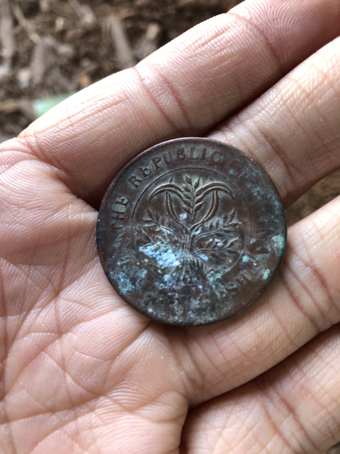 古玩錢幣民國湖南雙旗二十文拍賣，當前價格1800元