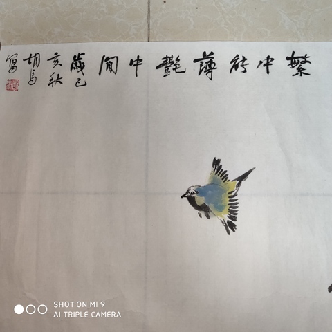 古玩字畫楊忠秀 胡馬老師 繁中能薄艷中間 軟片拍賣,當前價格400元