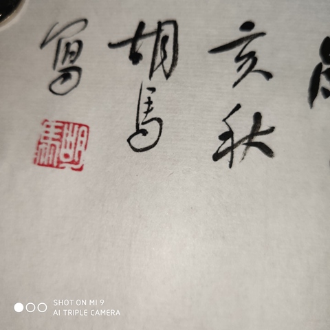 古玩字畫楊忠秀 胡馬老師 繁中能薄艷中間 軟片拍賣,當前價格400元