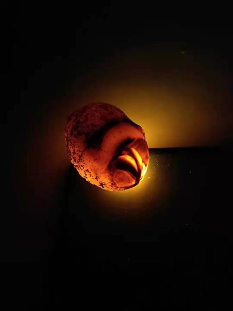 古玩雜項卵形石真品鑒賞圖