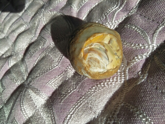 古玩雜項卵形石真品鑒賞圖