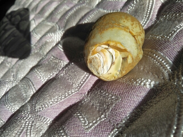 古玩雜項卵形石真品鑒賞圖