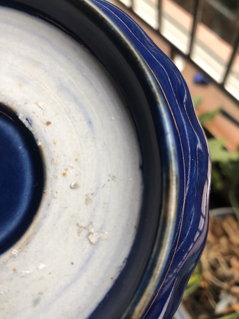 古玩陶瓷霽藍(lán)釉描金壽字花卉紋花口洗拍賣，當(dāng)前價(jià)格12800元