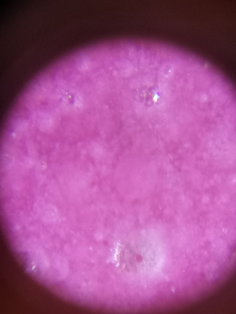 古玩陶瓷胭脂水花盆拍賣，當前價格8800元