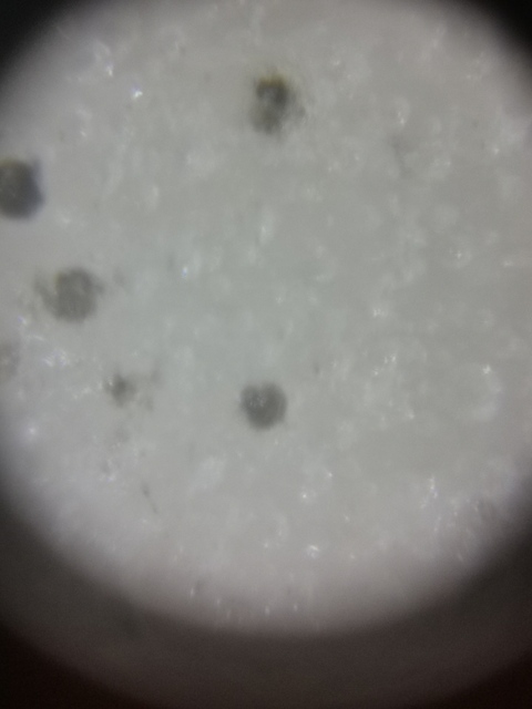 古玩陶瓷胭脂水花盆拍賣，當前價格8800元