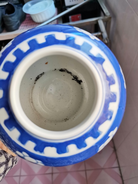 古玩陶瓷梅紋罐拍賣，當前價格2200元