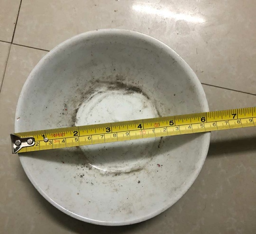 古玩陶瓷大雞圖碗拍賣，當(dāng)前價(jià)格3999元