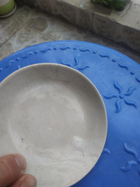 古玩陶瓷哥釉小碟拍賣，當(dāng)前價格11600元