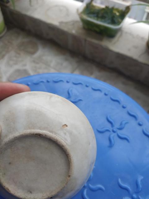 古玩陶瓷哥釉小碟拍賣，當(dāng)前價格11600元