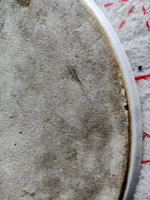 古玩陶瓷粉彩花鳥紋圓盤拍賣，當前價格12000元