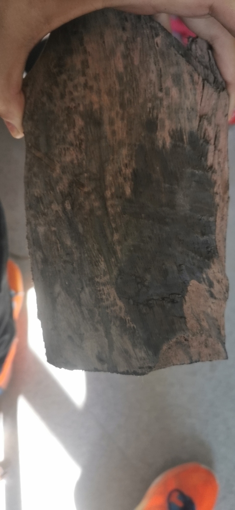 古玩雜項陰沉木拍賣，當前價格8000元