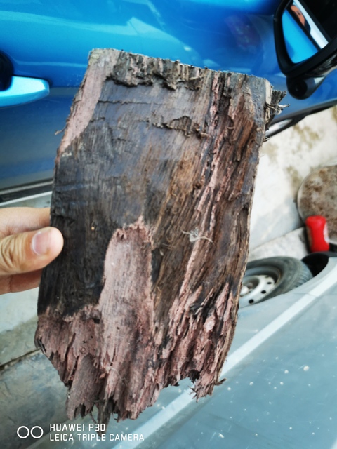 古玩雜項陰沉木拍賣，當前價格8000元