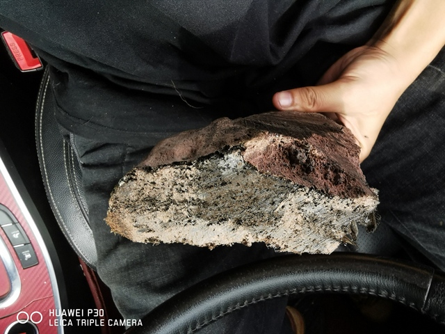 古玩雜項陰沉木拍賣，當前價格8000元