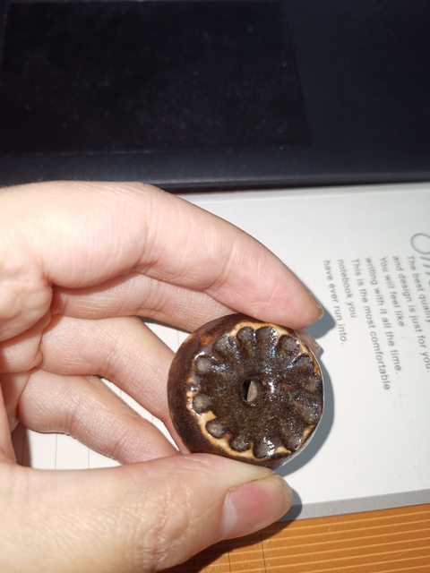 古玩陶瓷醬釉珠子拍賣，當(dāng)前價(jià)格2680元