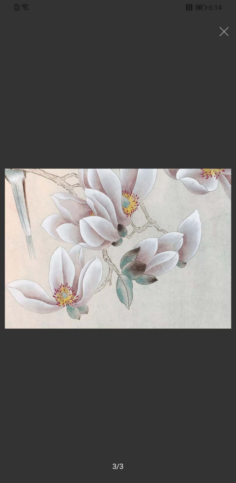 古玩字畫徐鳳秋花鳥圖拍賣，當前價格1088元