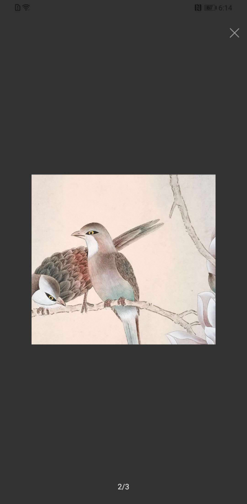 古玩字畫徐鳳秋花鳥圖拍賣，當前價格1088元