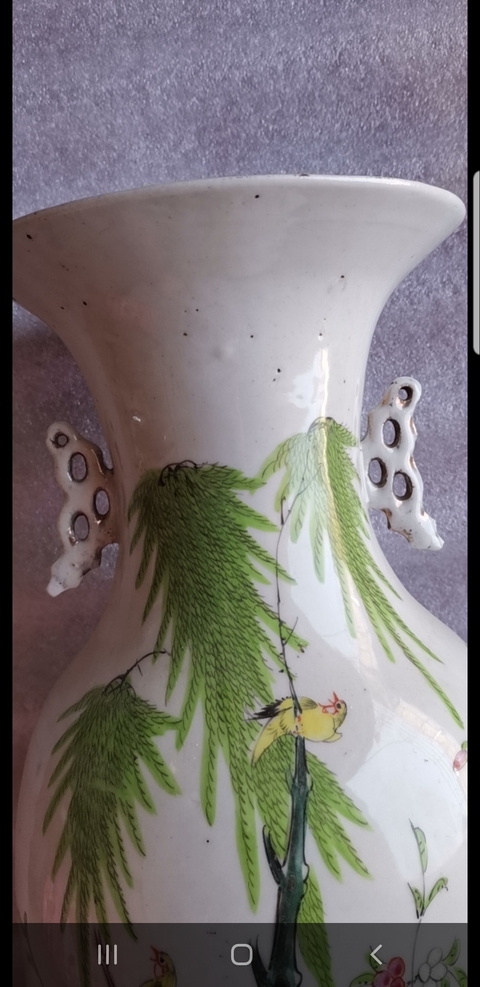 古玩陶瓷花鳥紋瓶拍賣，當前價格6600元