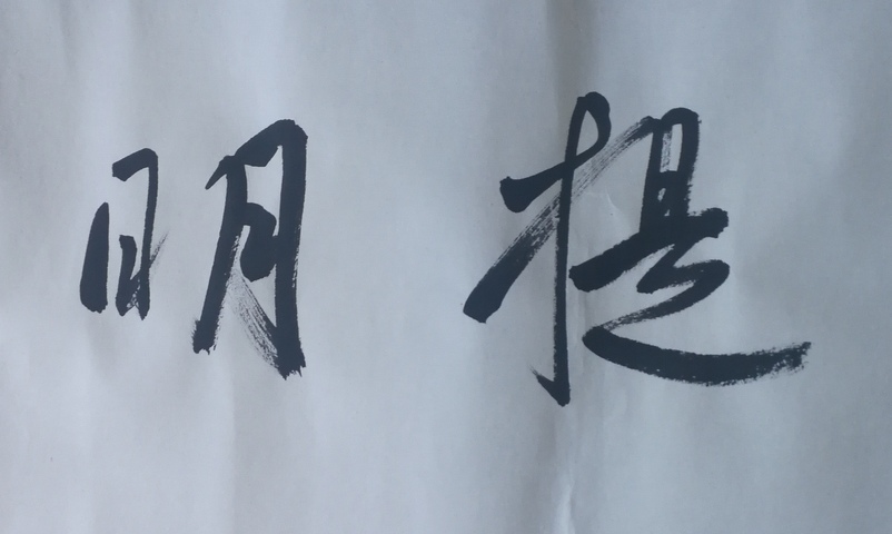古玩字畫楊明臣(中書協理事)書法拍賣,當前價格980元