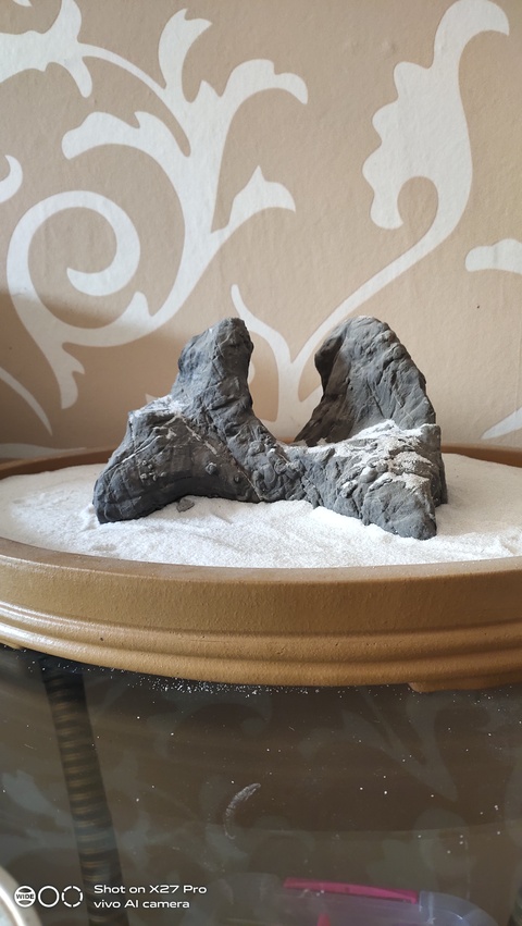 古玩雜項賞石拍賣，當前價格8600元