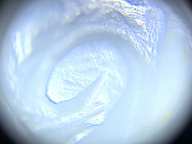 古玩玉器龍鉤拍賣，當前價格10500元