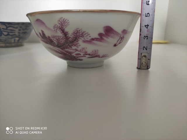 古玩陶瓷胭脂紅山水紋碗拍賣,當前價格999元