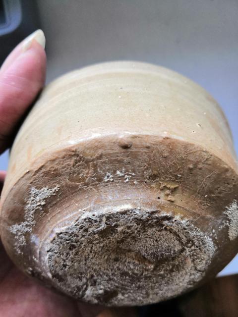 古玩陶瓷晉代靑瓷杯拍賣，當(dāng)前價(jià)格2300元