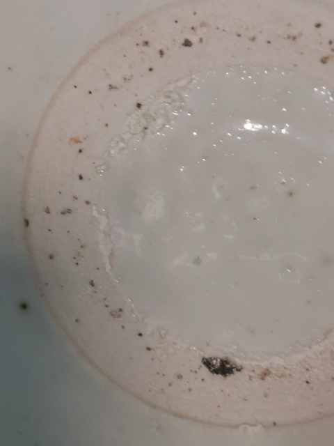 古玩陶瓷青白釉出筋花口碗拍賣，當前價格3000元