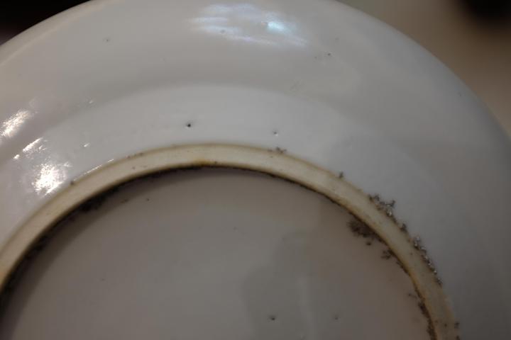 古玩陶瓷清.花鳥紋廣彩盤拍賣，當前價格999元