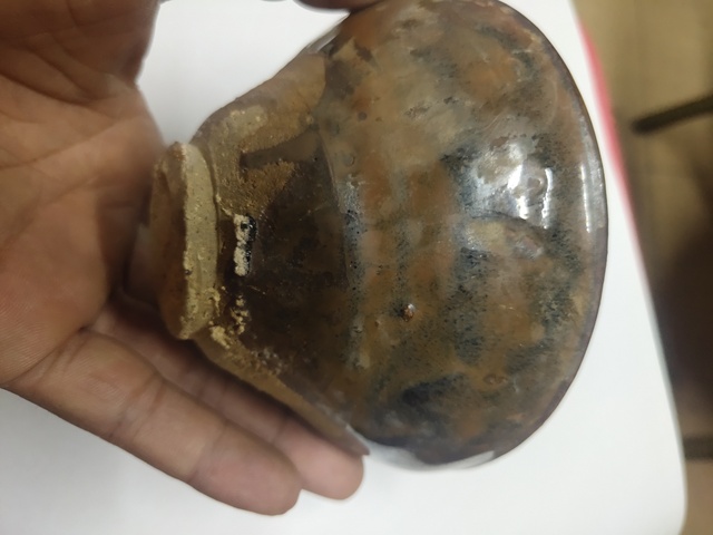 古玩陶瓷建盞拍賣,當(dāng)前價(jià)格999元