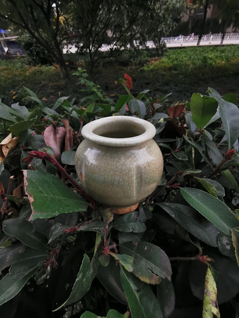 古玩陶瓷宋代龍泉窯系青瓷瓜楞罐拍賣,當(dāng)前價格5000元