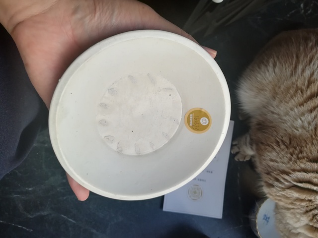 古玩陶瓷宋磁州窯白釉折沿洗拍賣，當前價格3999元