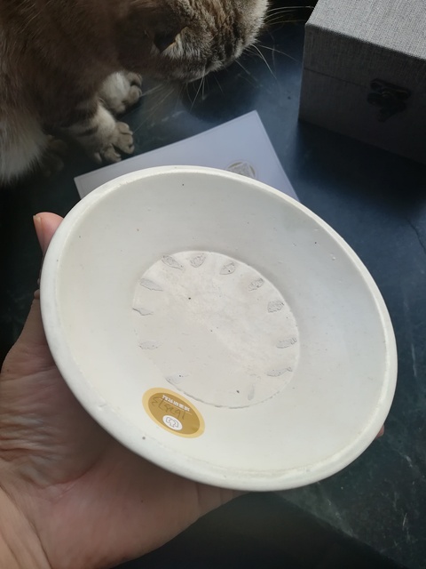 古玩陶瓷宋磁州窯白釉折沿洗拍賣，當前價格3999元