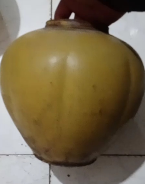 古玩陶瓷黃釉瓜楞罐(帶蓋)拍賣,當前價格1500元